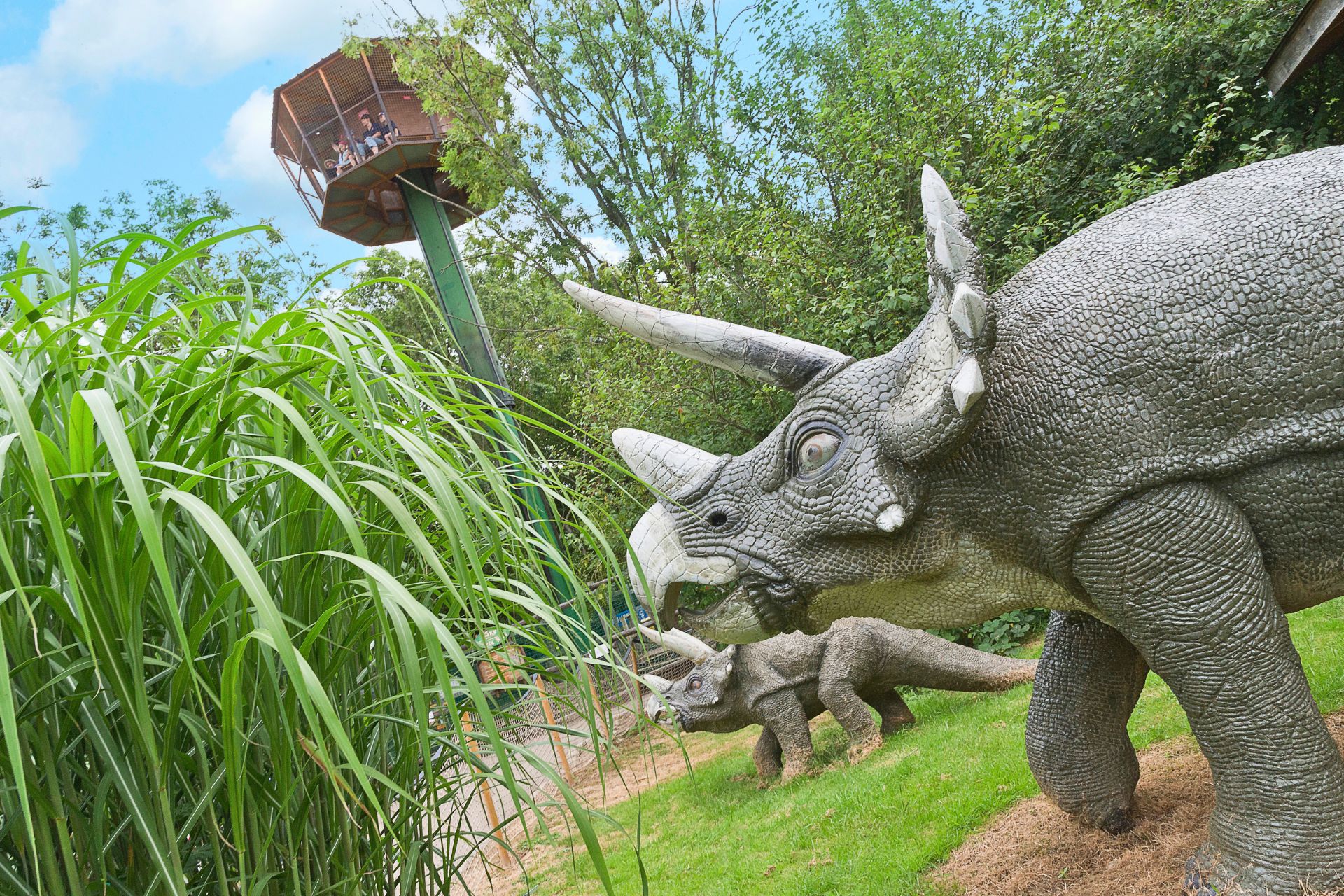 Dino And Farm (4)