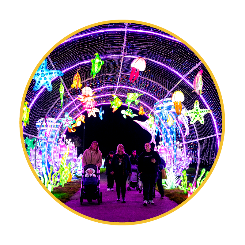 LOL2025-Location-01.png