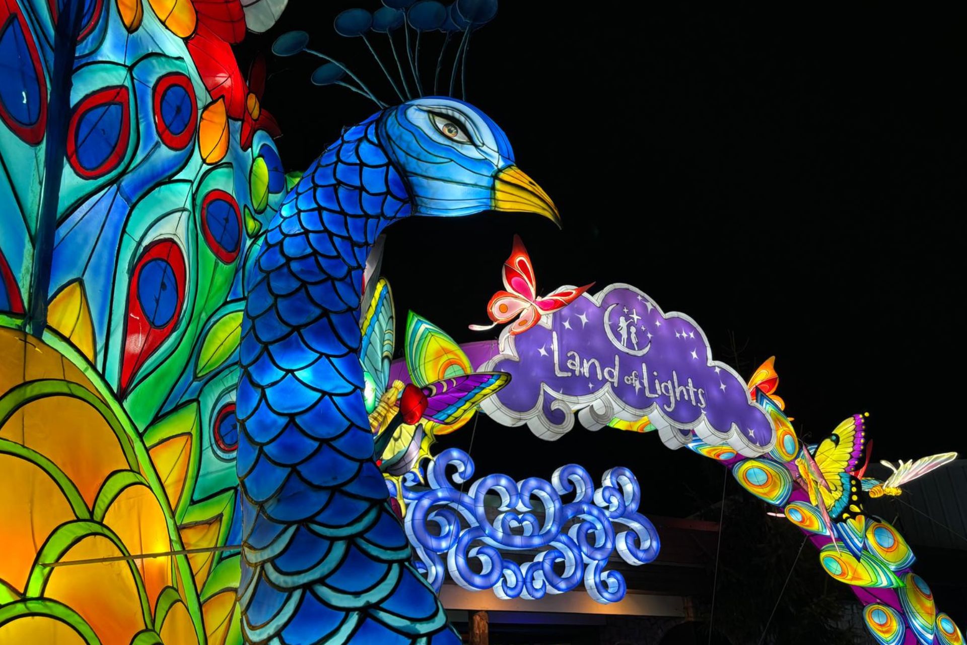 Land Of Lights (7)